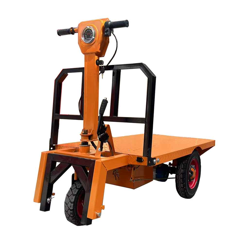 Electric tricycle stand flatbed
